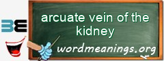 WordMeaning blackboard for arcuate vein of the kidney